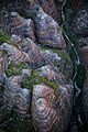 Bungle Bungles range