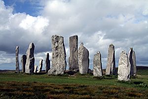 Callanish Stones in summer 2012 (7)