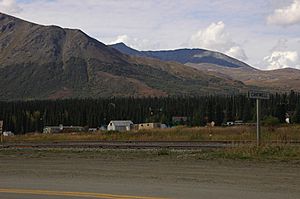 Town of Cantwell, Alaska. Tracks for the Alaska Railroad run through the foreground.