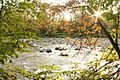 Chagrin River viewed through leaves