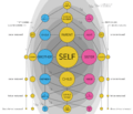 Coefficient of relatedness