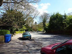 Crescent Wood Road, Sydenham, 2013.JPG