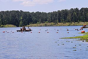 Huntsville sp swimming