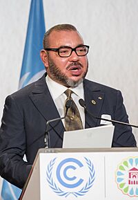 King Mohammed VI (cropped).jpg