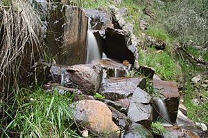 Kings Falls, From high side.