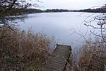 Lake near Far Ings Road - geograph.org.uk - 305746.jpg