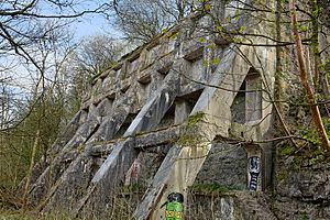 Lime Kilns at Cowdale Quarry