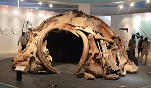 Mammoth House (Replica)