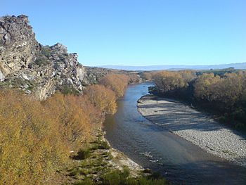 Manuherikia River Under Another Viaduct.jpg