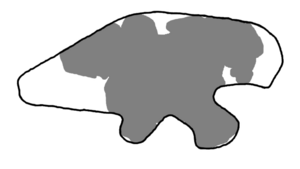 Metriacanthosaurus ilium.png