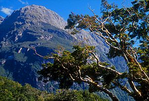 Milford Sheerdown Peak