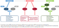 Molecular Pathology