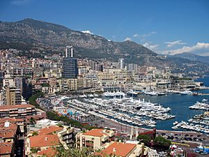 MonacoView