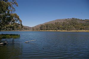 Mt Buffalo Lake Catani.jpg