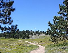 Pinos summit