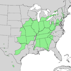 Quercus muehlenbergii range map 1.png