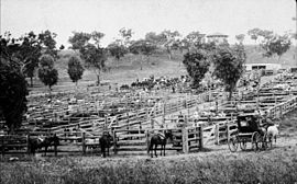 Quirindi