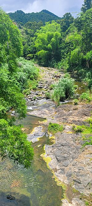 Hondo River in Río Hondo barrio