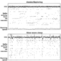 Rat-hippocampal-activity-modes