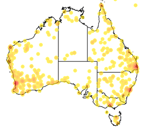 Redback spider records map