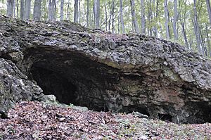 Rock shelter Papula