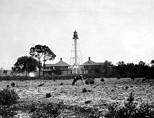 Sapeloisland1905