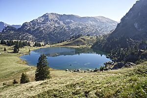 Seehorn mit seebergsee