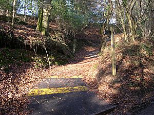 Signpost on The Saints Way - geograph.org.uk - 109422