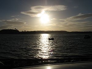 Strangford Lough