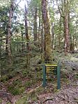 Sugarloaf Track Rockburn Track Sign