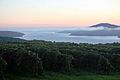 Sunrise overlooking a vineyard in the Finger Lakes