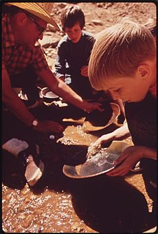 THE DENVER P.T.A. SPONSORED A WEEK-LONG ECOLOGY WORKSHOP TO INTRODUCE SCHOOL CHILDREN TO THE NATURAL ENVIRONMENT.... - NARA - 543681