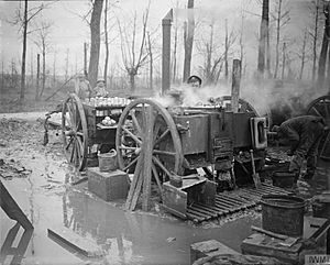 The Battle of the Somme, July-november 1916 Q4605