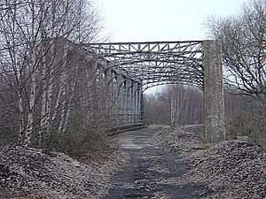 Thrybergh Bridge - geograph.org.uk - 635167