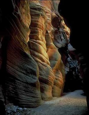 Verm paria canyon