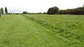 Yeading Brook Meadows 2