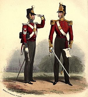 12th Foot uniform