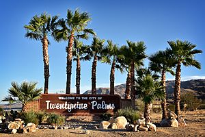 29 Palms Sign