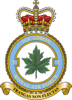 Squadron badge