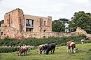 Astley Castle Across the Moat.JPG