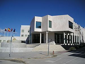 Auditorio las rozas