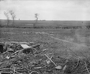 Australian18pdrFiringBullecourtMay1917