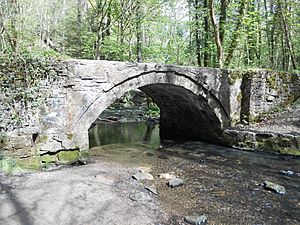 Bridge over Wepre Brook, Flintshire.jpg