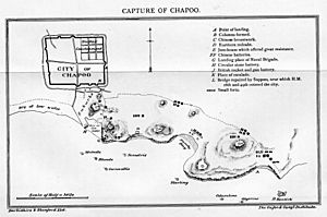 Capture of Chapoo.jpg