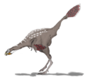 Caudipteryx2mmartyniuk