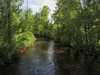 Cedar River Gladwin Michigan.jpg