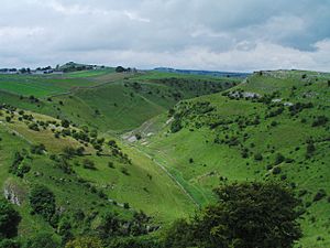 Cressbrook Dale - geograph.org.uk - 11079