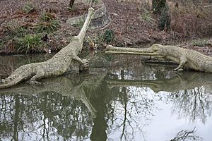 Crystal Palace Teleosaurus