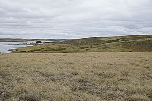 Darwin vegetation and terrain