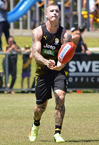 Dustin Martin handballs (3) 16.01.18